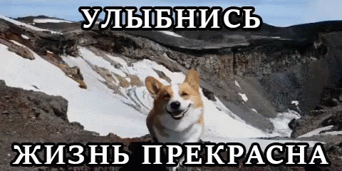 https://klipy-cdn.quaize.ru/ii/2711dd8a75a85be822d136ec94899b3f/24/92/aFeJBzWP.gif