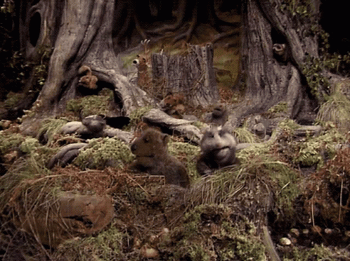https://klipy-cdn.quaize.ru/ii/39f2394ae36df6e199be9eb7c9fa1012/b1/d9/ecUEbBhN.gif