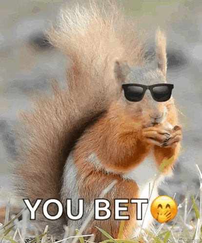 https://klipy-cdn.quaize.ru/ii/4e7bea9f7a3371424e6c16ebc93252fe/4a/31/IPzx0zovxOT1c44Beu.gif